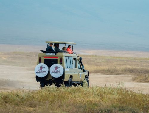 3-Day Winter Great Migration Safar: