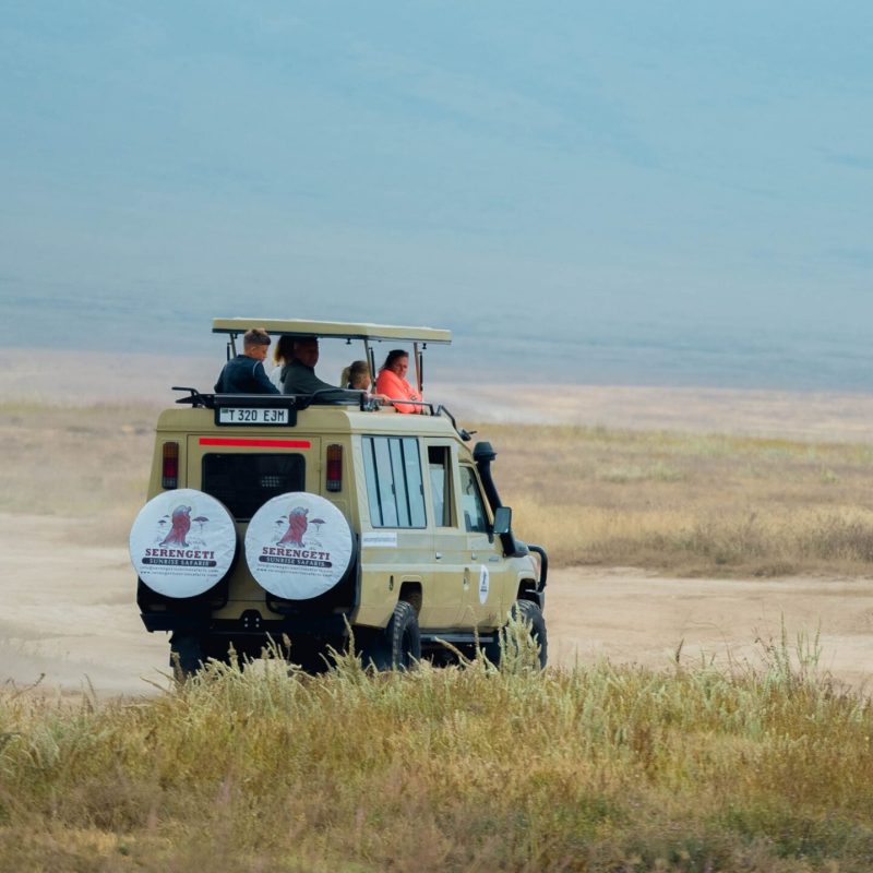 3-Day Winter Great Migration Safar: