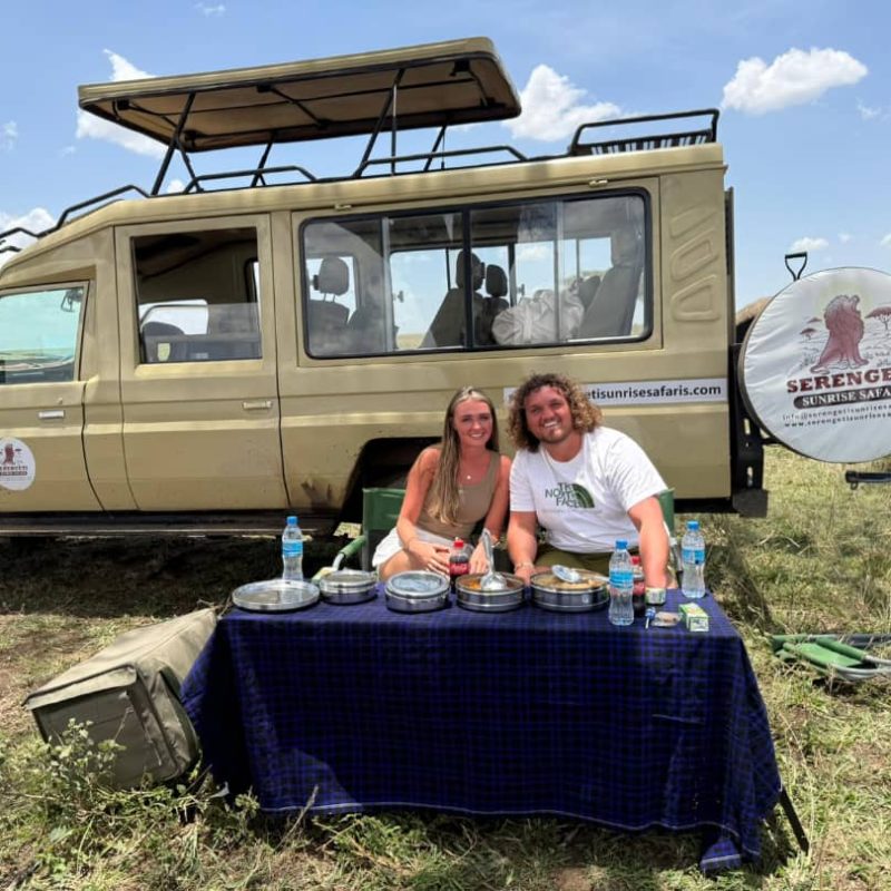 4-Day Classic Mid-Range Safari: Manyara, Serengeti & Ngorongoro