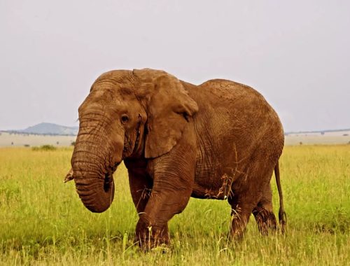 436232548_1145360616609145_5229526040427475928_n