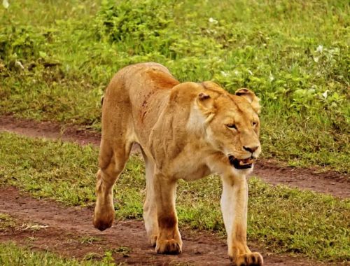 436490679_957553362413002_4136435701779714292_n