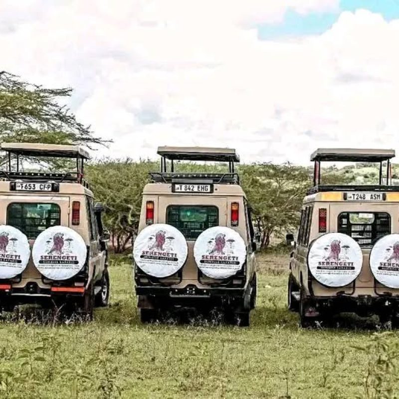 3-DAYS TARANGIRE, NGORONGORO AND MANYARA