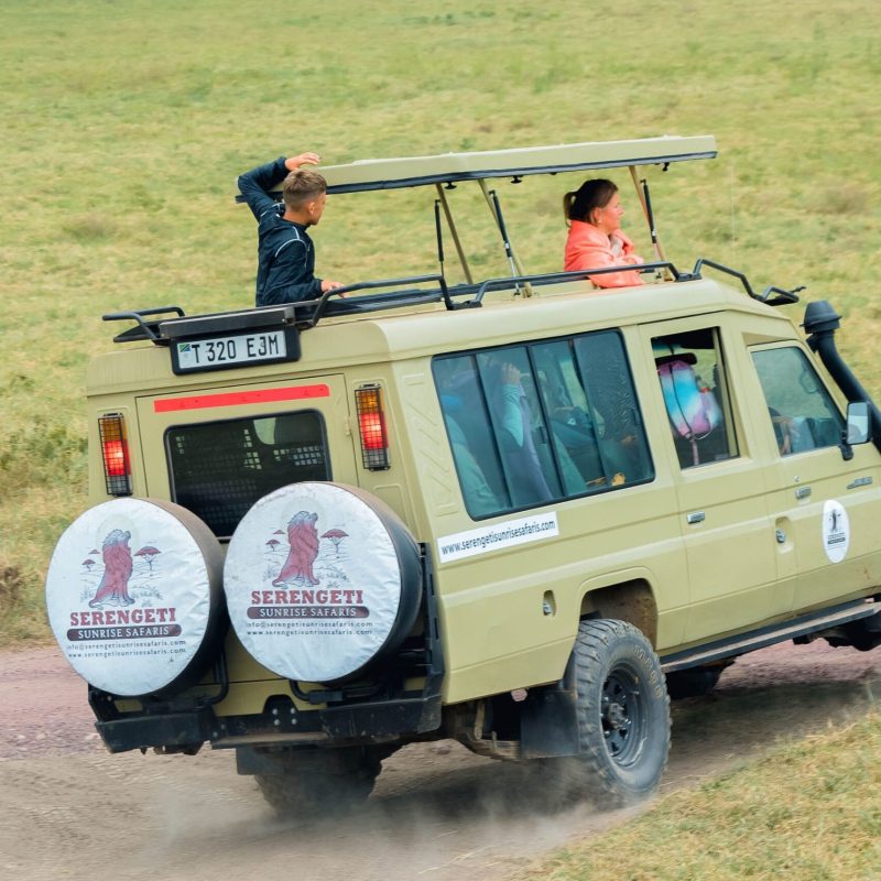 5-Day Affordable Tanzania Safari – Tarangire, Serengeti, Ngorongoro & Manyara