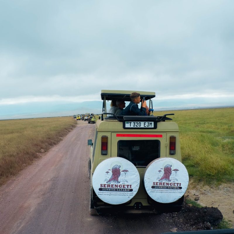 6-Day Tanzania Experience: A Journey of Wildlife & Culture