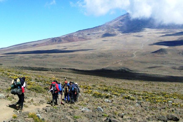 Kilimanjaro-northern-circuit